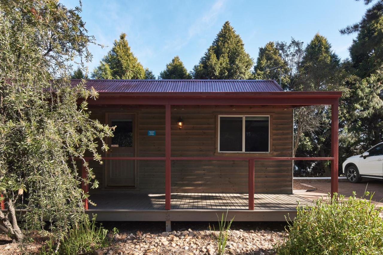 Nrma Bathurst Panorama Holiday Park Экстерьер фото
